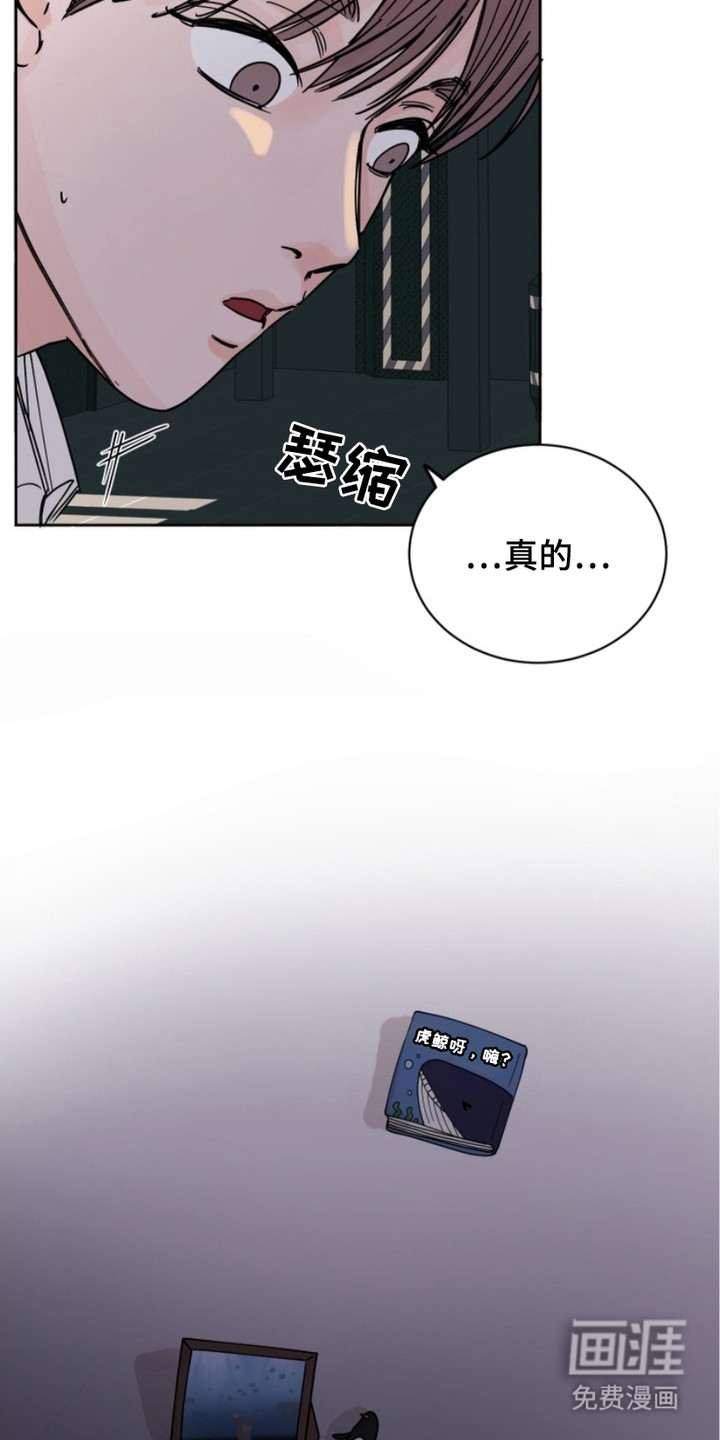 狩猎虎鲸 第6话 第22页