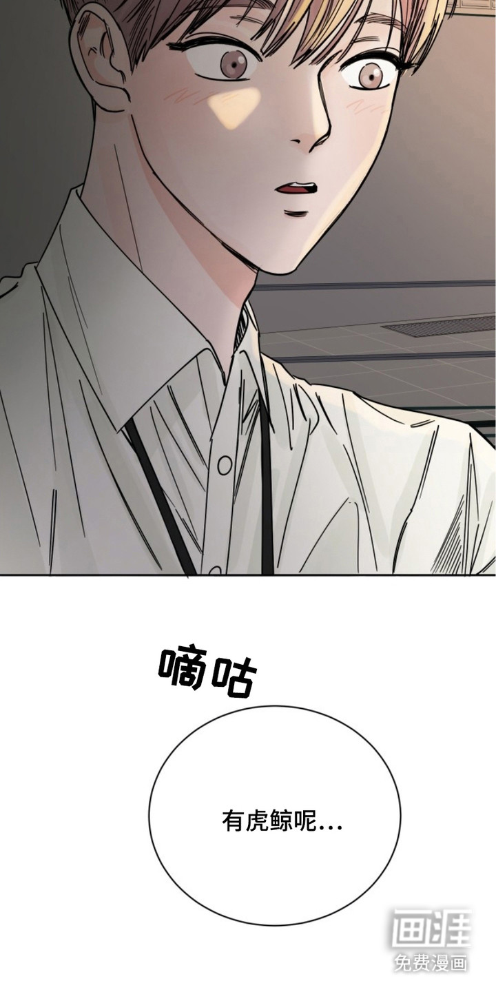 狩猎虎鲸 第6话 第26页