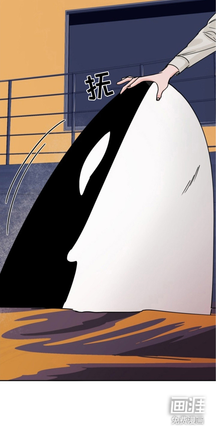 狩猎虎鲸 第7话 第16页