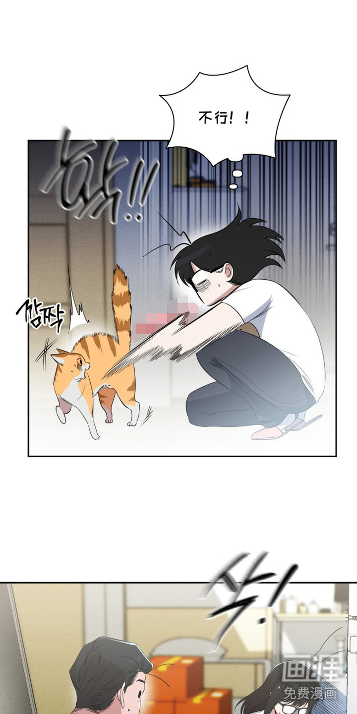 社恐女的逆袭第11话图