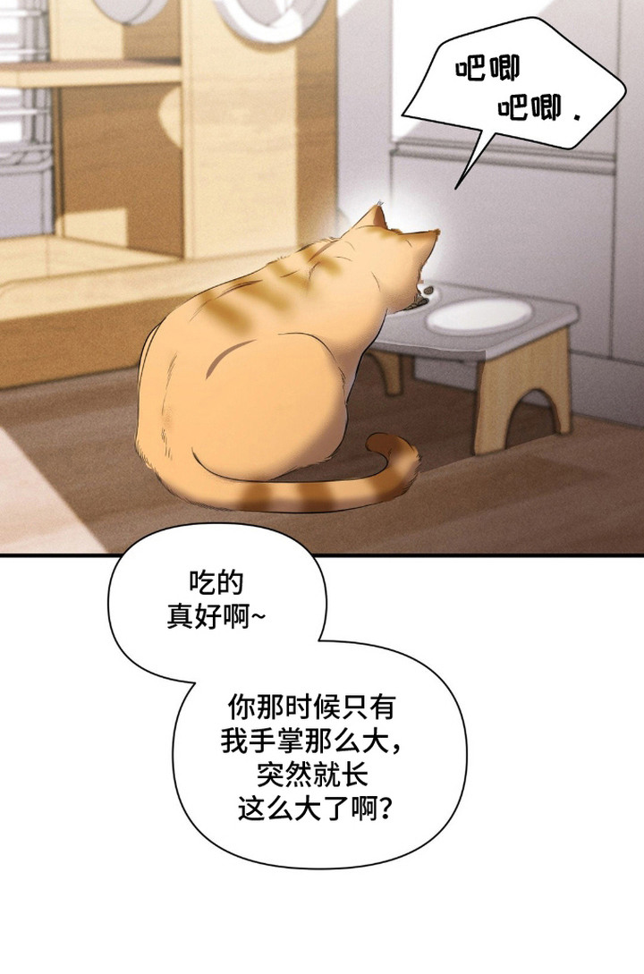 社恐女的逆袭第6话图