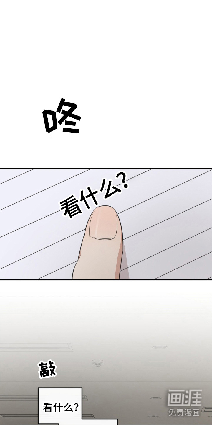 饲养法则第5话图