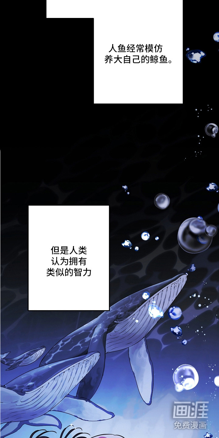 深海誓约漫画-图10
