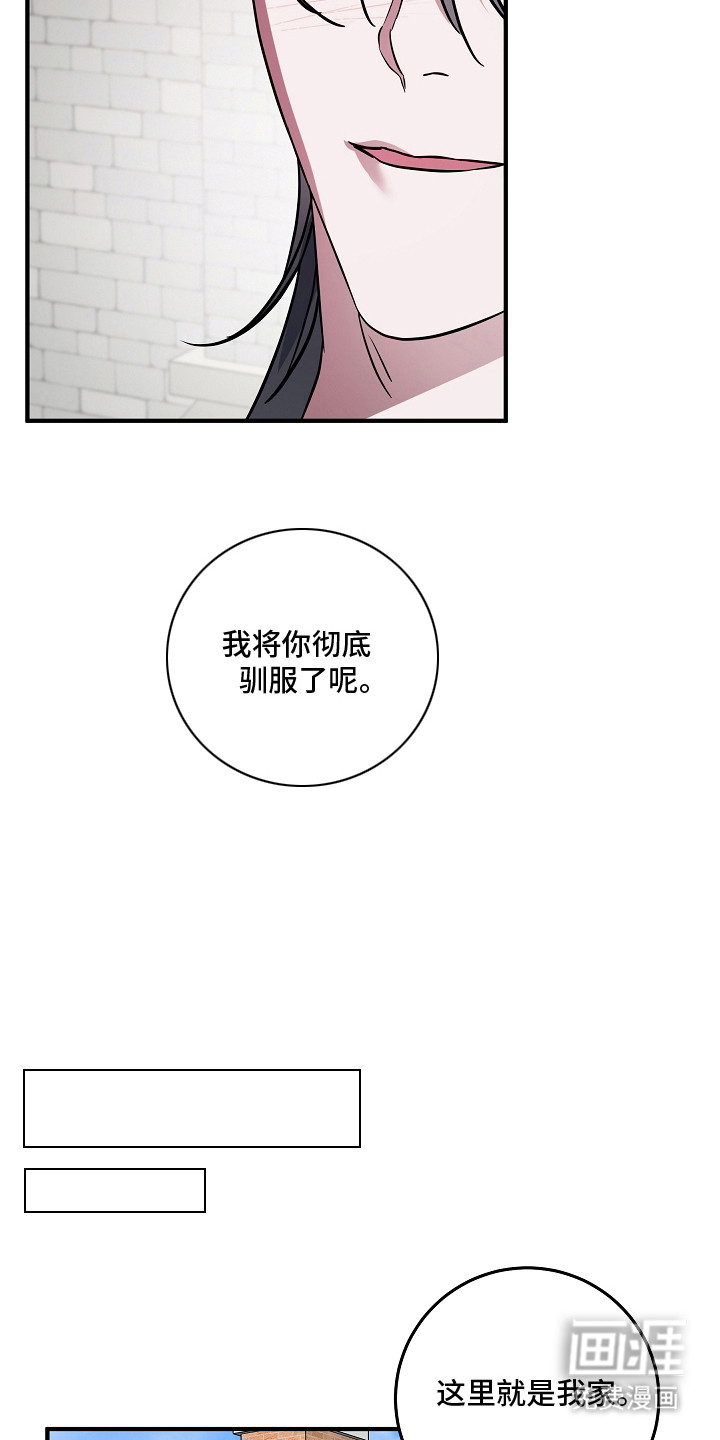 深海誓约漫画-图11
