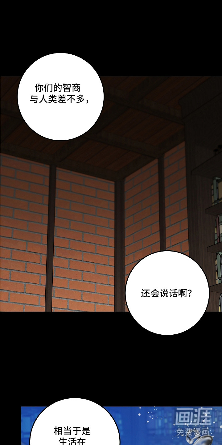 深海誓约漫画-图2