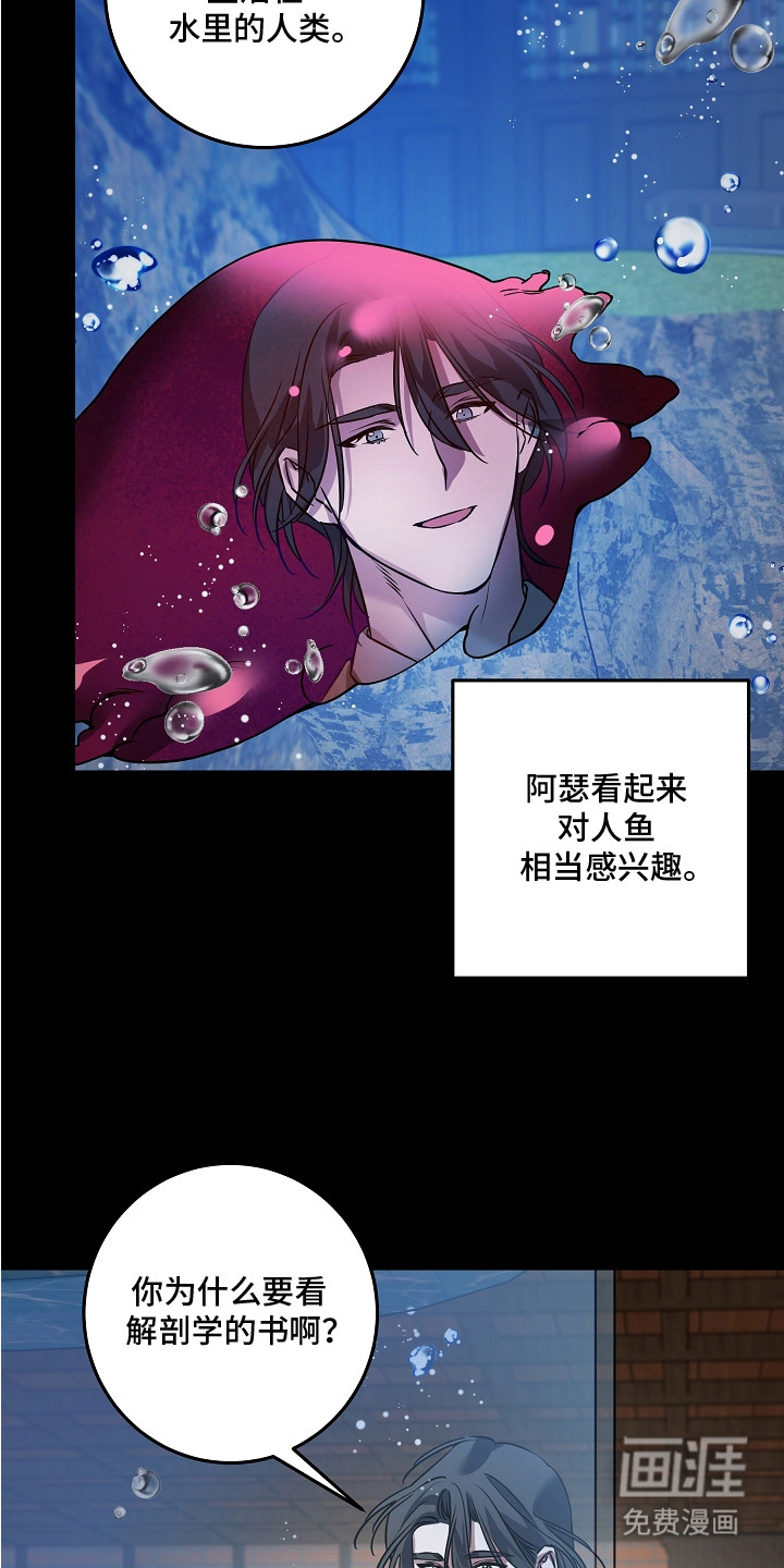 深海誓约漫画-图3