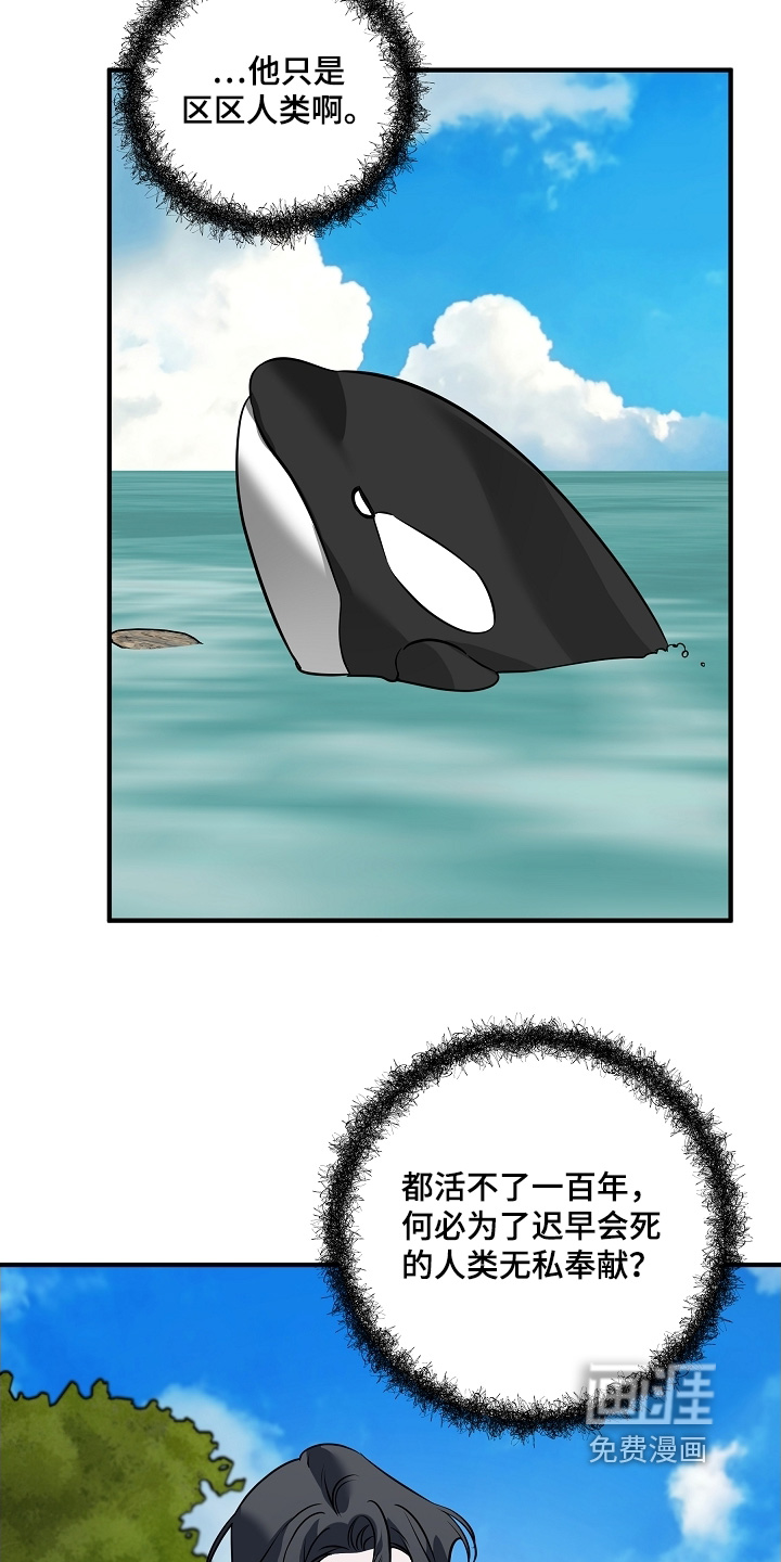 深海誓约漫画-图26