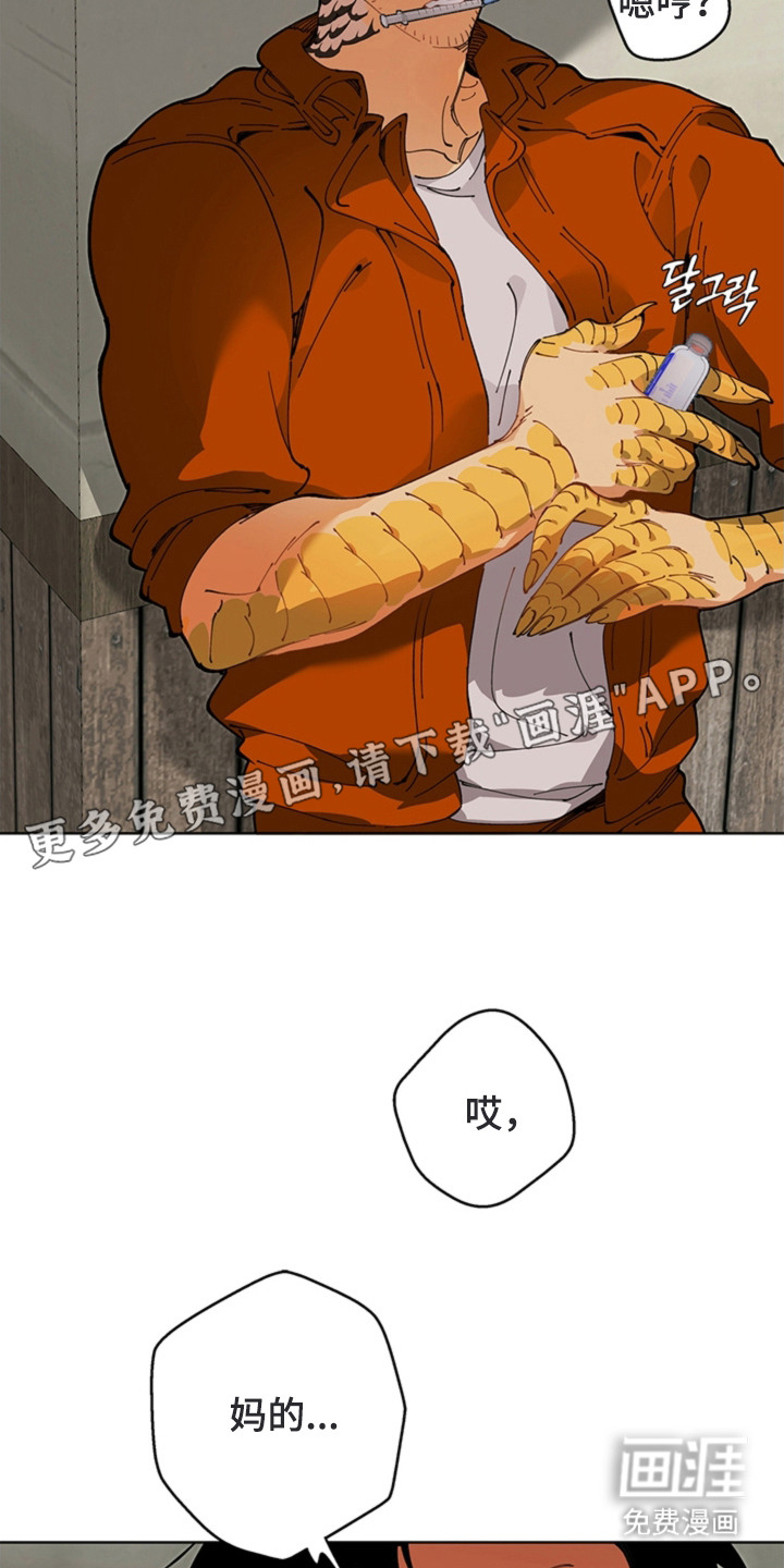 叔叔的特殊农场漫画-图19