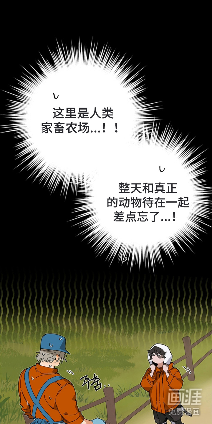 叔叔的特殊农场漫画-图13