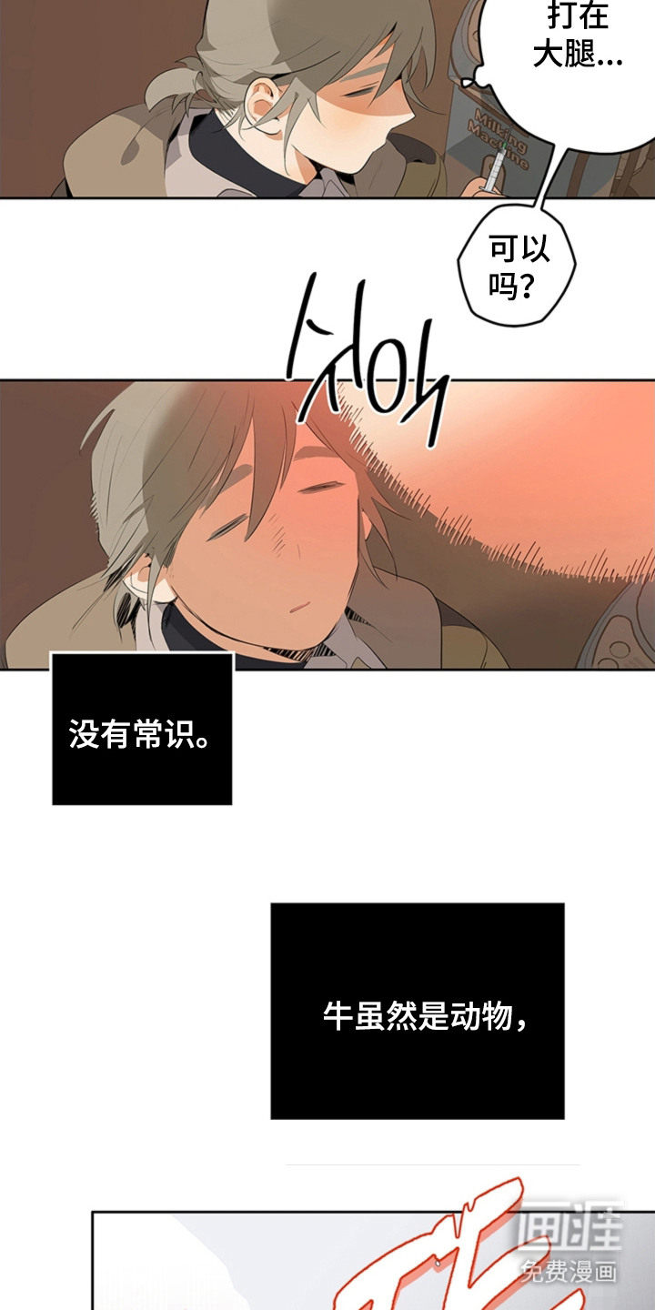 叔叔的特殊农场漫画-图12