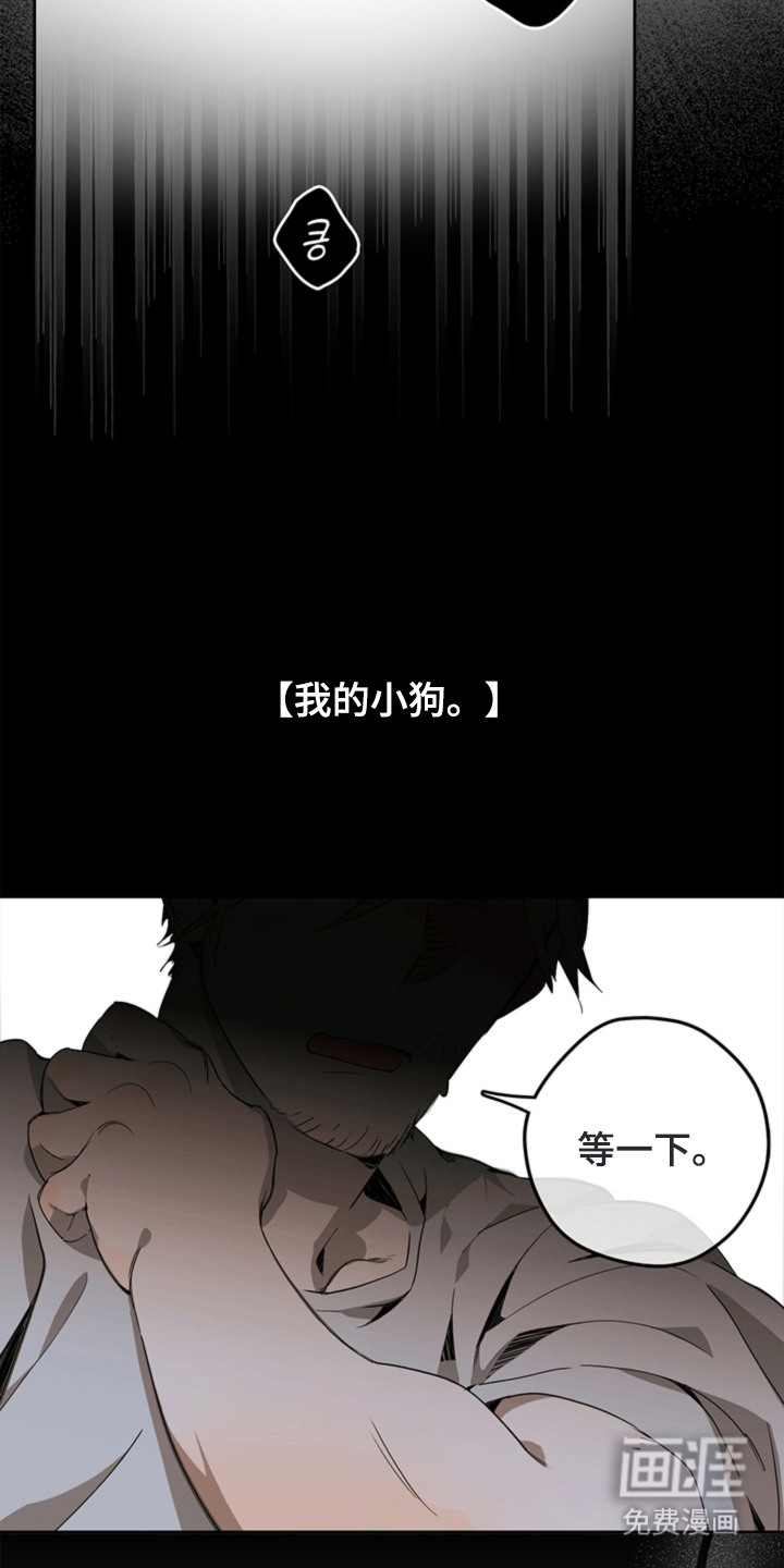 叔叔的特殊农场漫画-图15