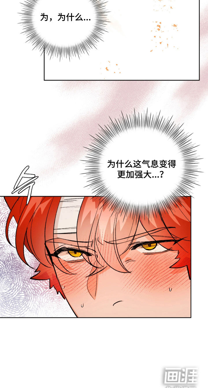 失格的武僧 第13话 第17页