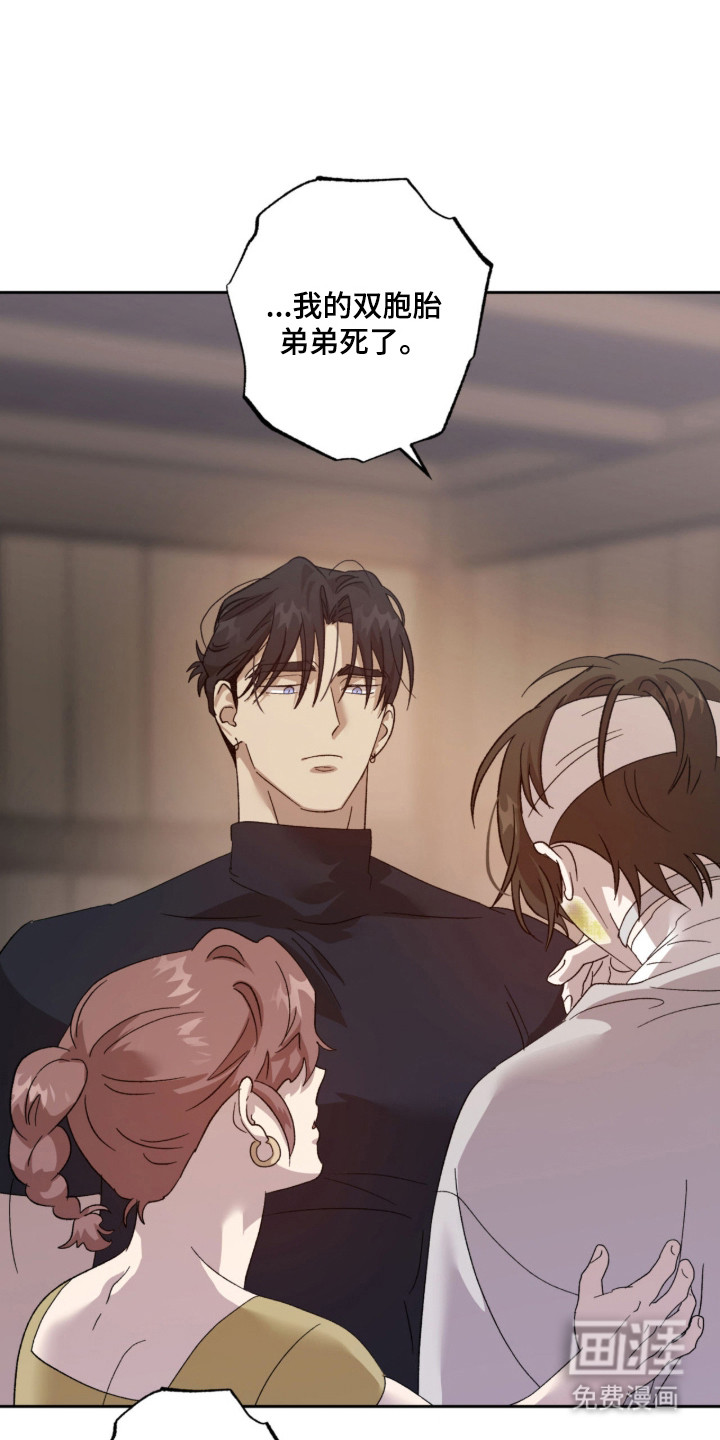 双生悲愿第3话图
