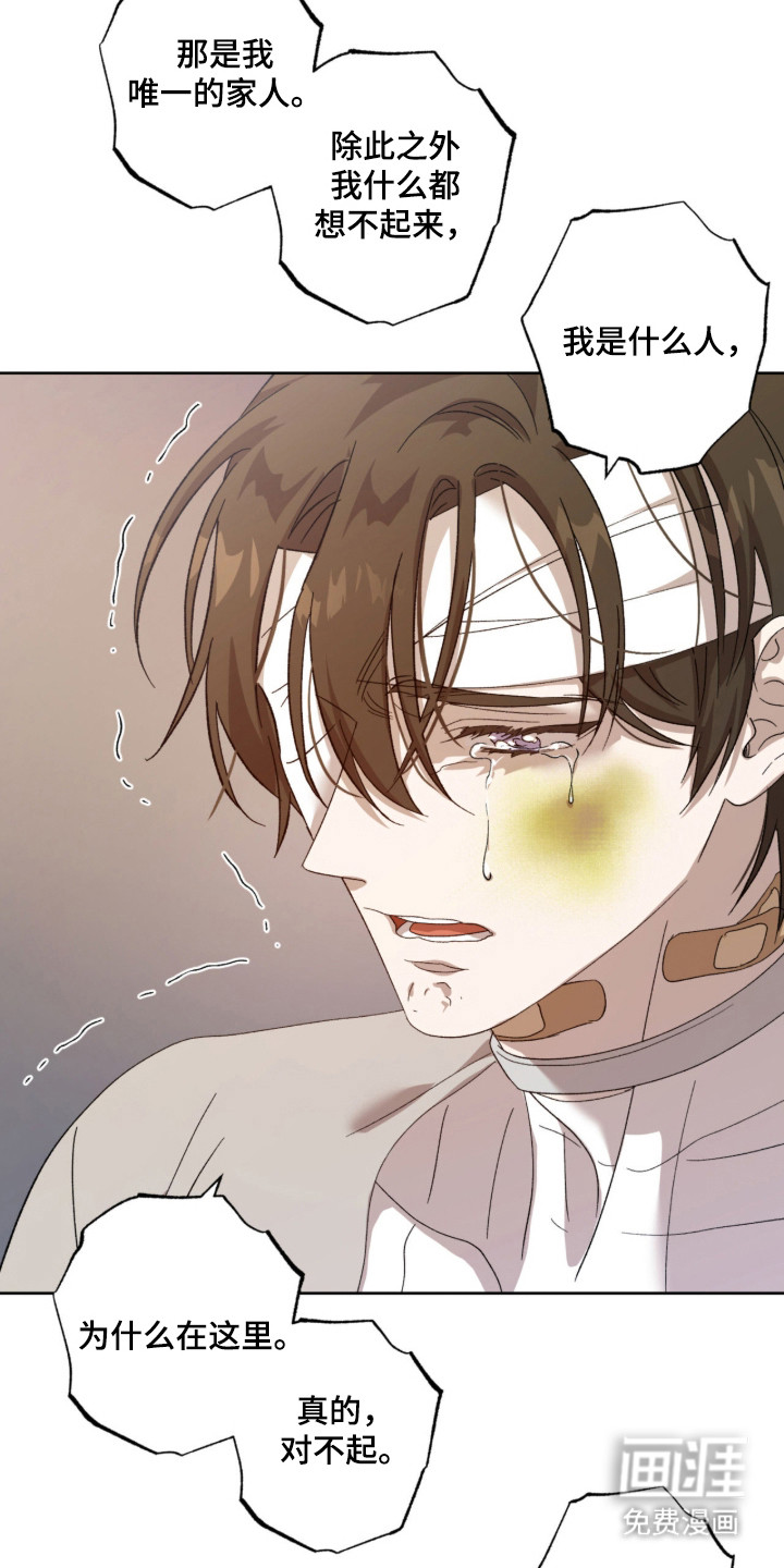 双生悲愿第3话图