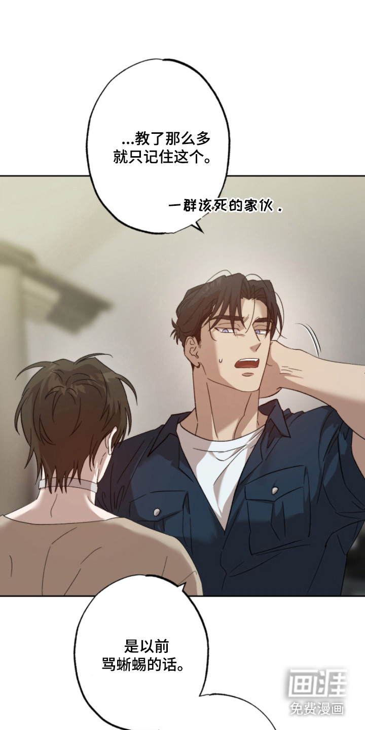 双生悲愿第4话图