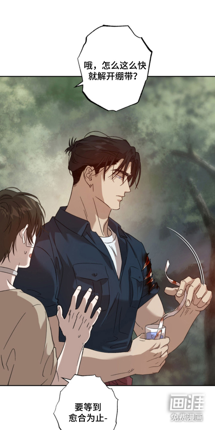 双生悲愿第5话图