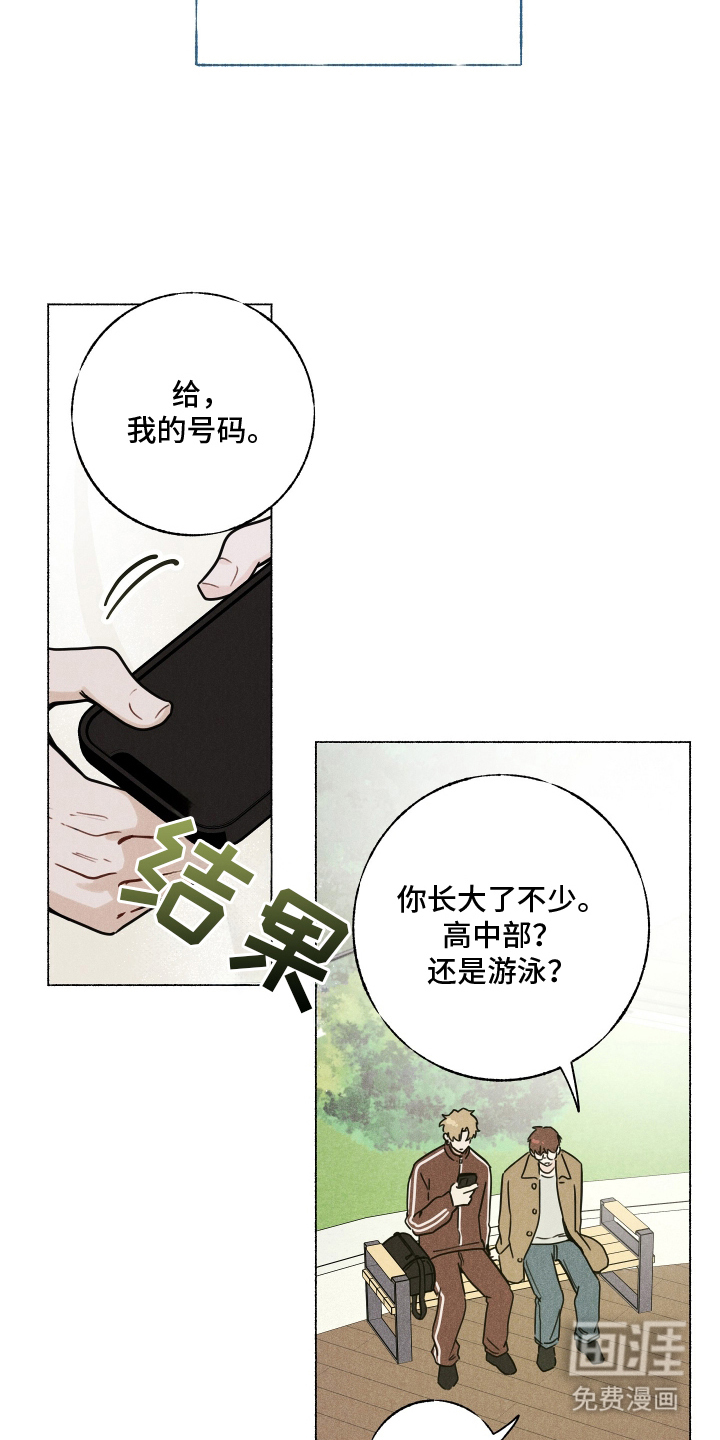 水面之下的疯狂漫画-图6