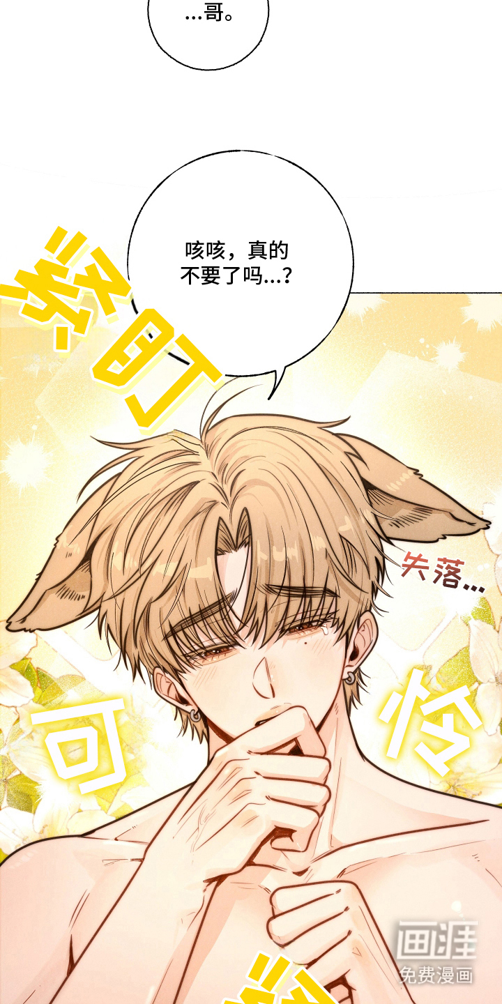 水面之下的疯狂漫画-图17