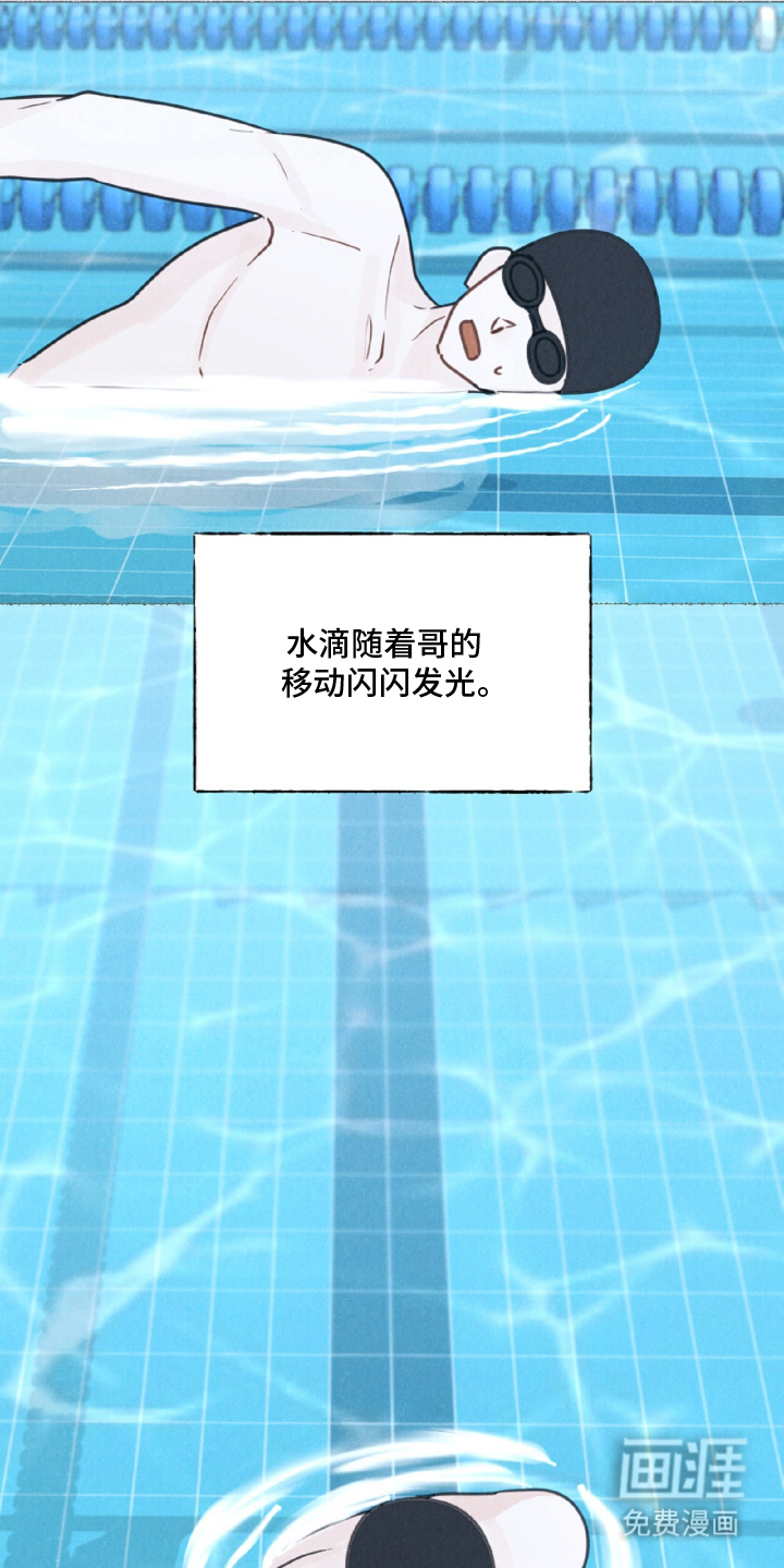 水面之下的疯狂漫画-图22