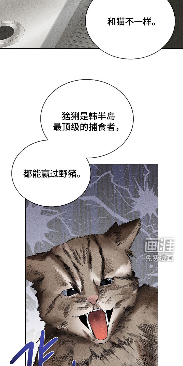 审讯室月光 第27话 第15页