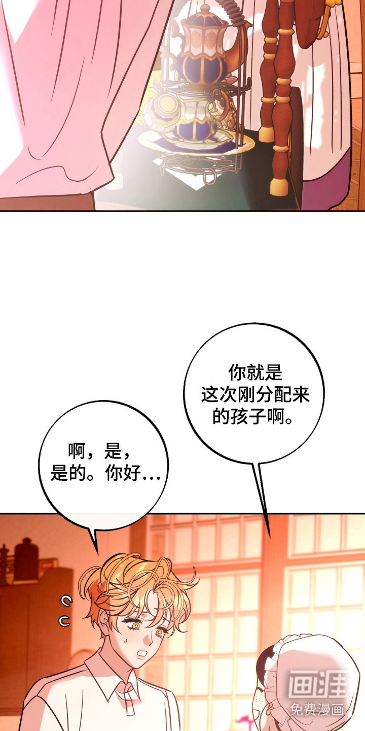 少爷的金鱼仆从漫画-图19
