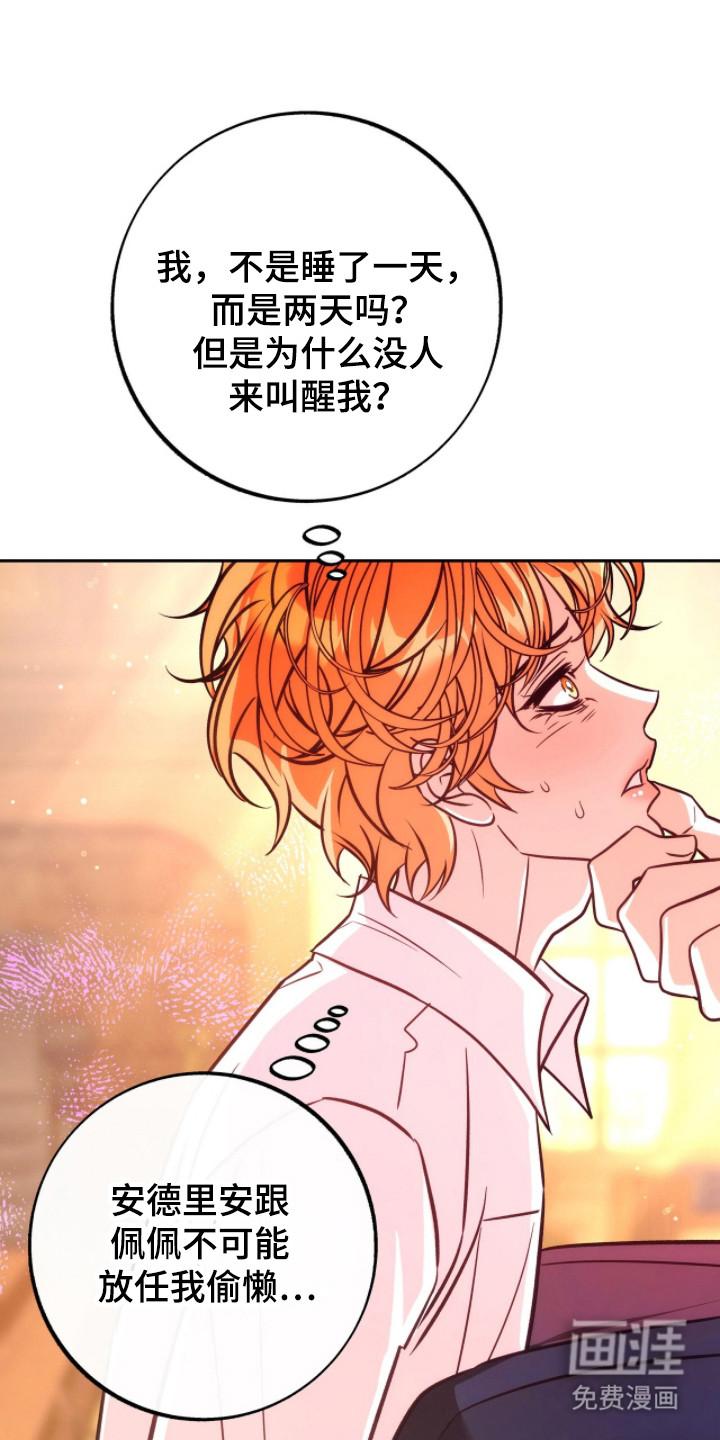 少爷的金鱼仆从漫画-图15