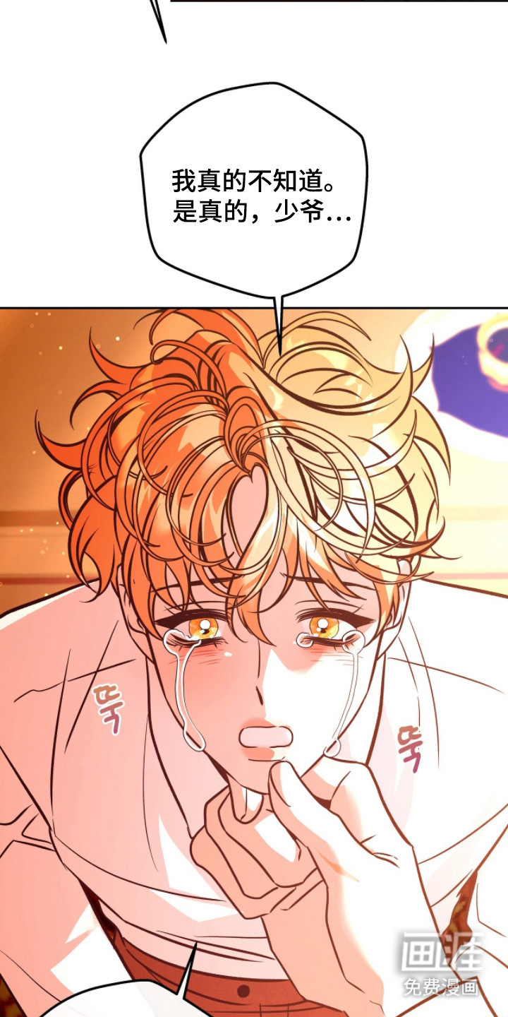 少爷的金鱼仆从漫画-图21
