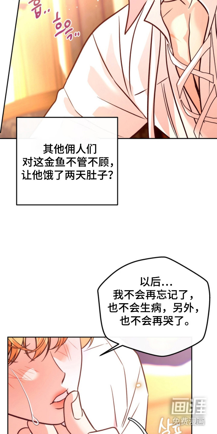 少爷的金鱼仆从漫画-图23