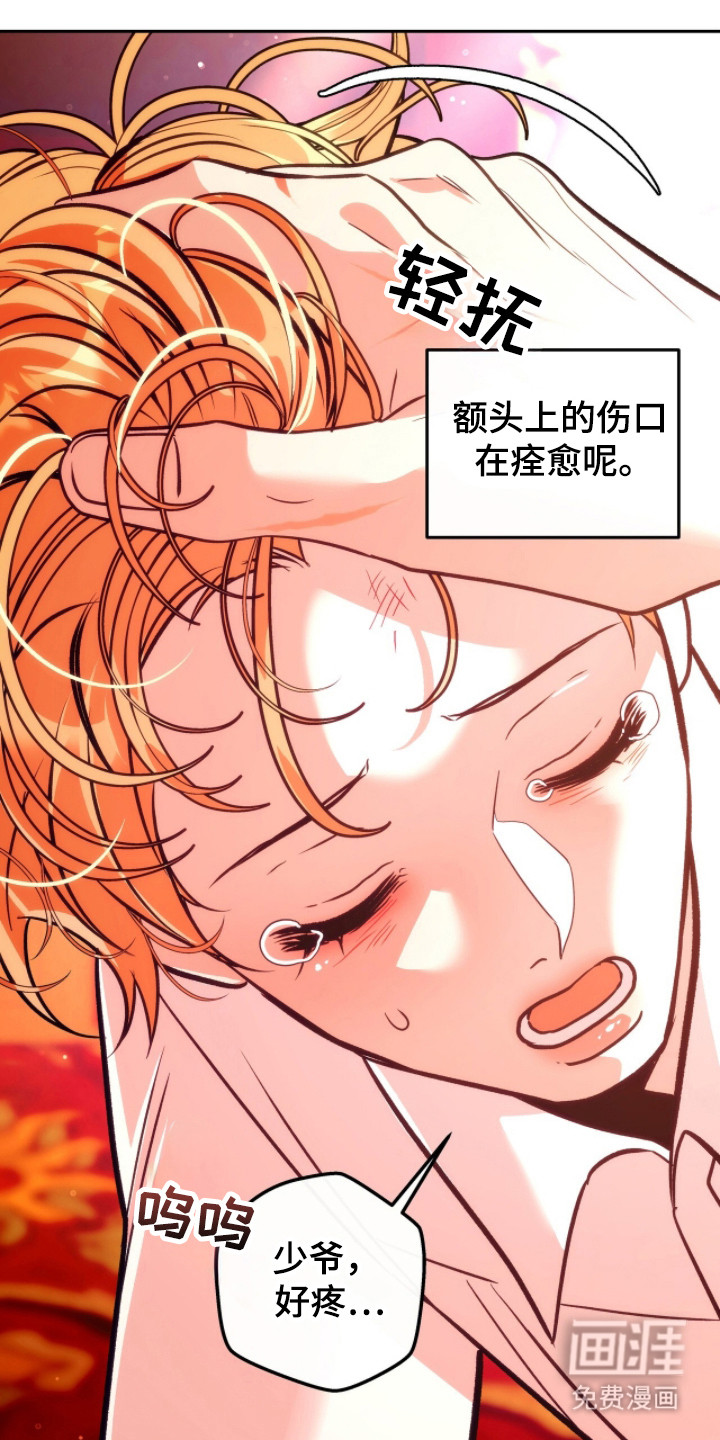 少爷的金鱼仆从漫画-图16
