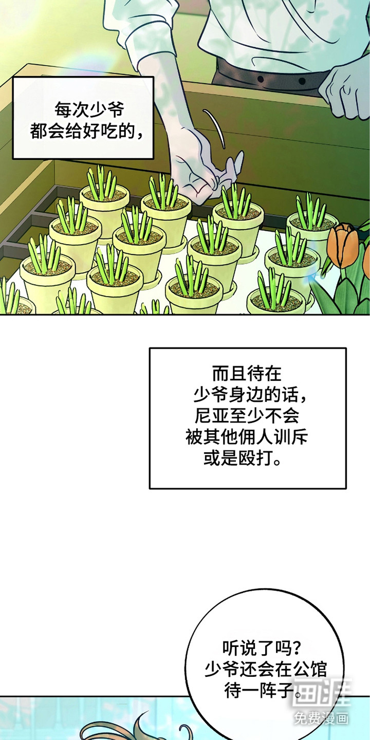少爷的金鱼仆从漫画-图17