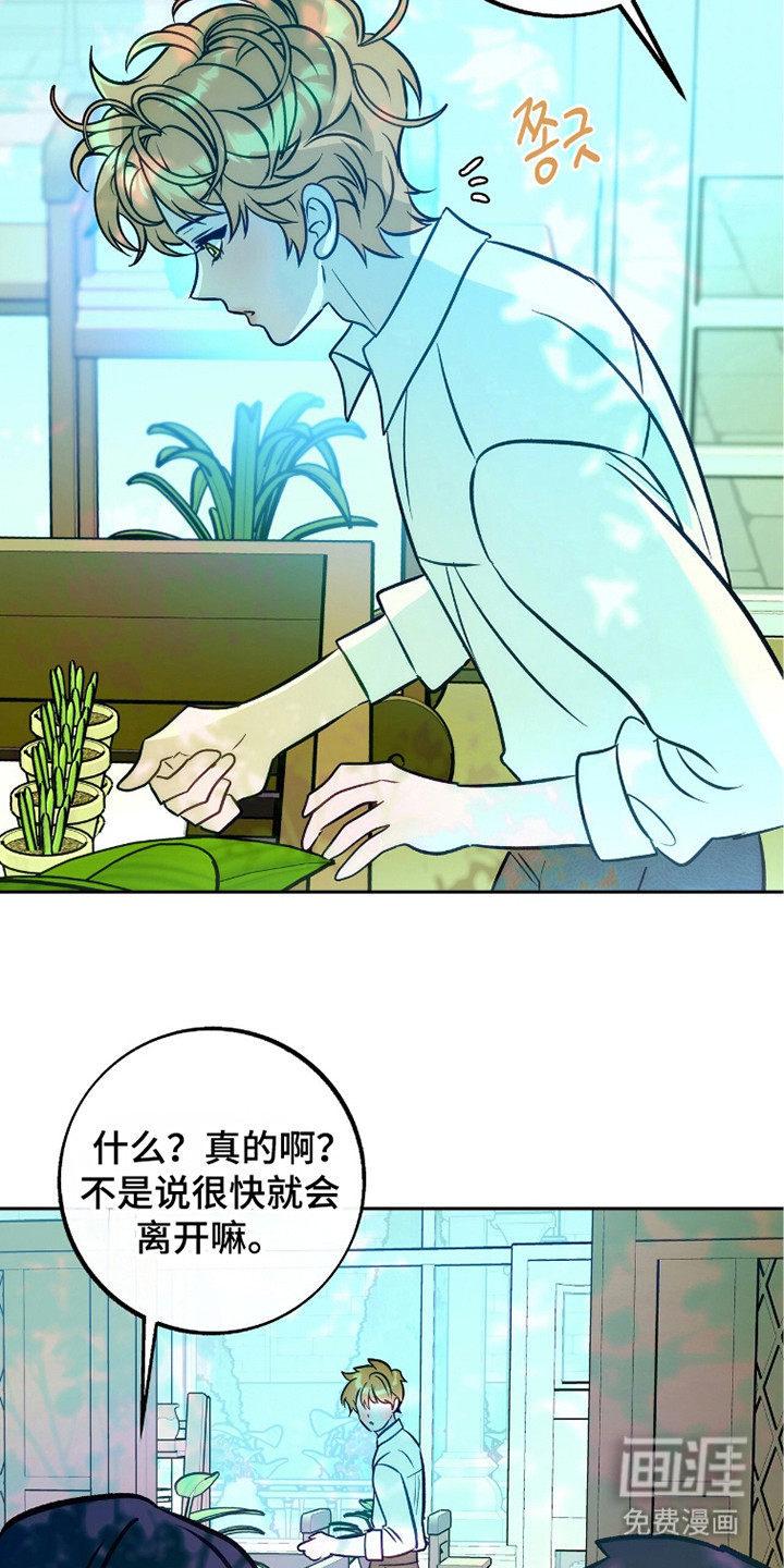少爷的金鱼仆从漫画-图18
