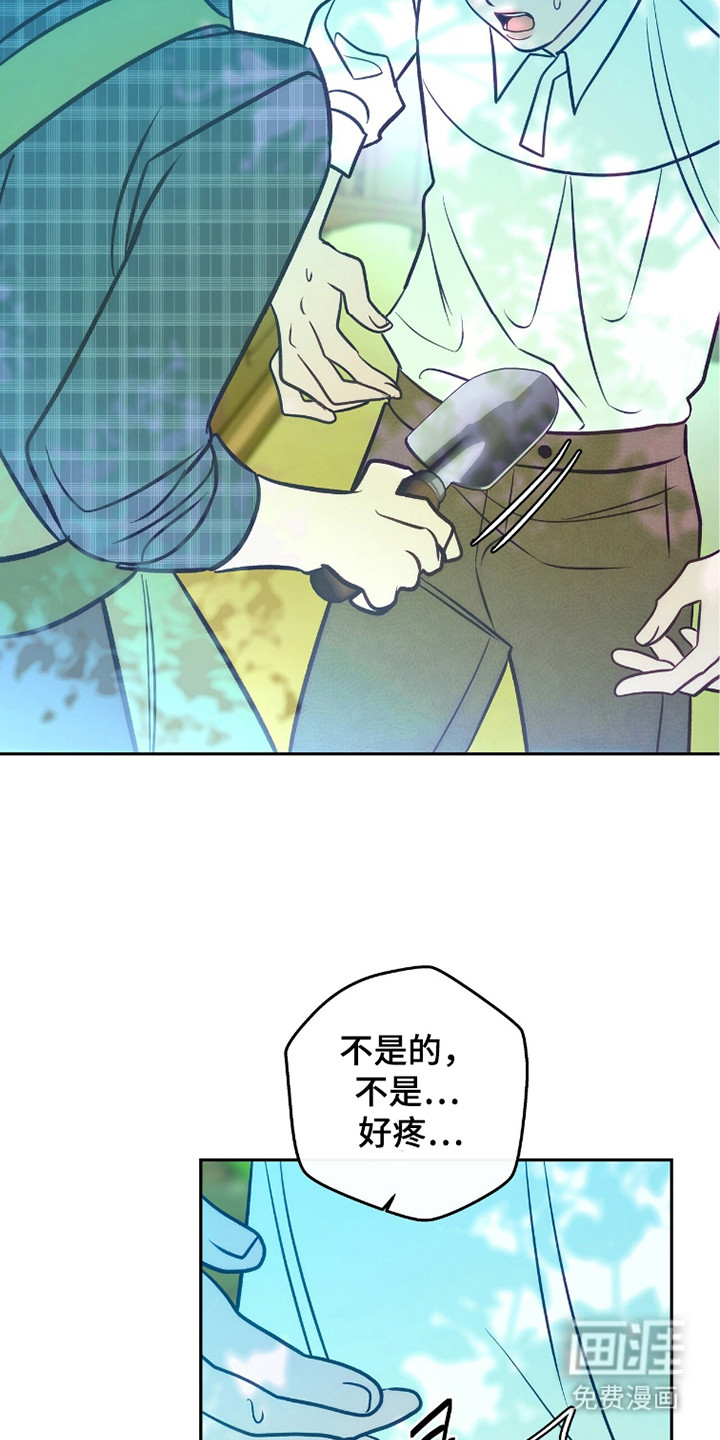 少爷的金鱼仆从漫画-图24