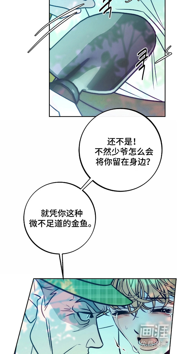 少爷的金鱼仆从漫画-图25