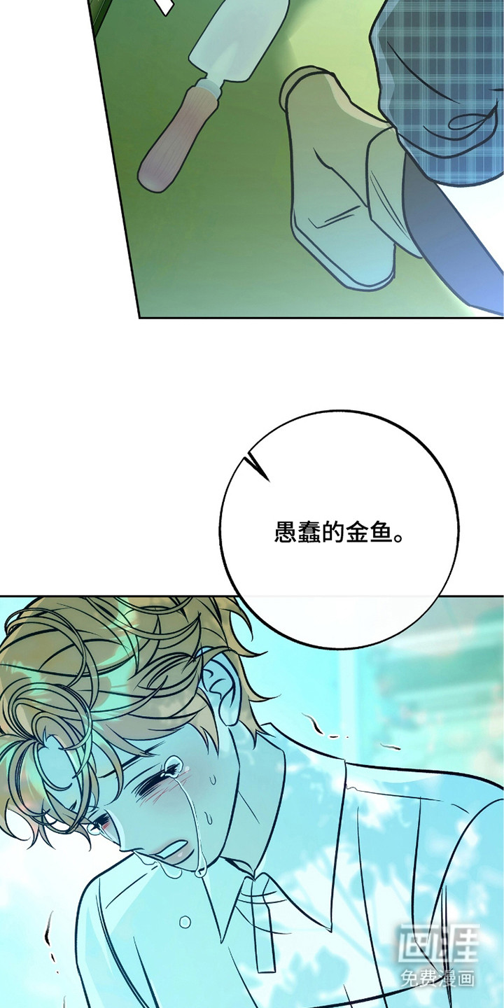 少爷的金鱼仆从漫画-图28
