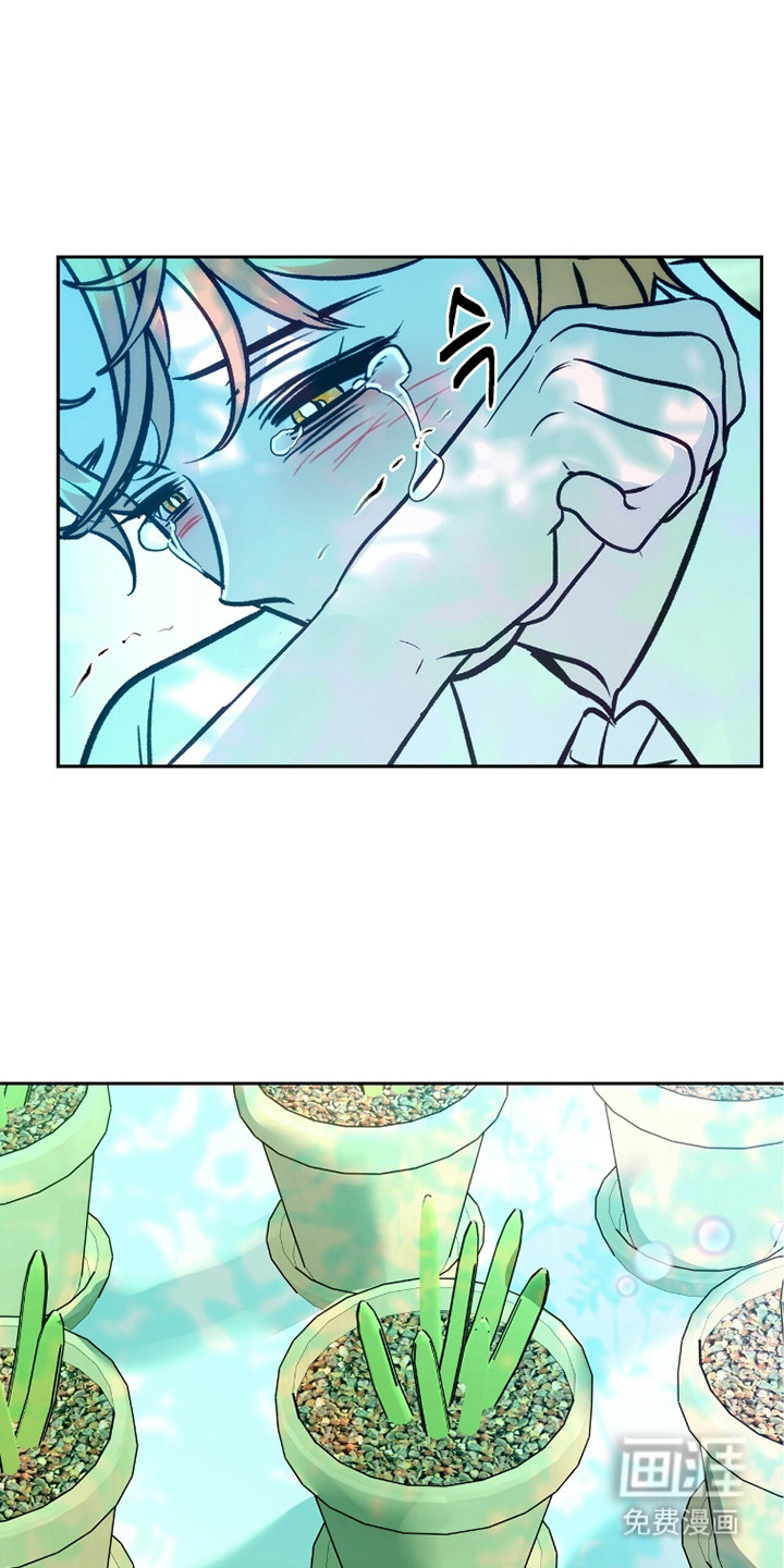 少爷的金鱼仆从漫画-图0