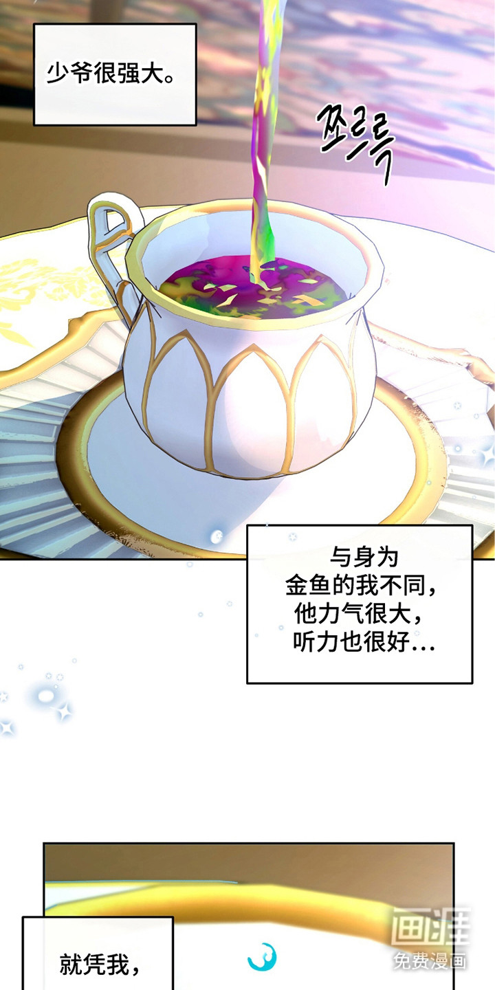 少爷的金鱼仆从漫画-图25