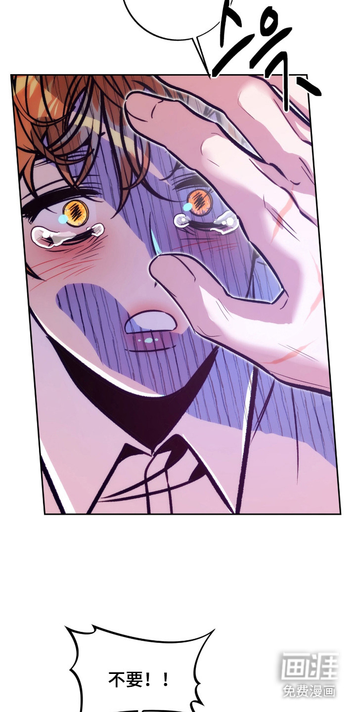 少爷的金鱼仆从漫画-图17