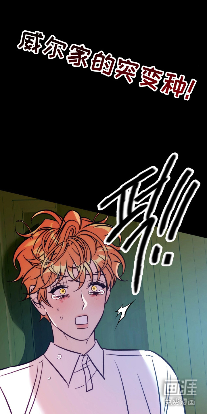 少爷的金鱼仆从漫画-图4
