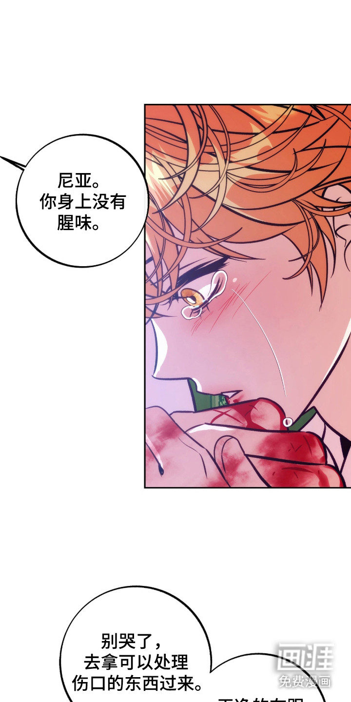 少爷的金鱼仆从第19话第1页