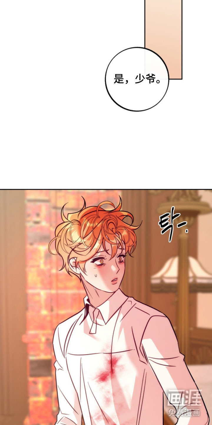 少爷的金鱼仆从漫画-图17