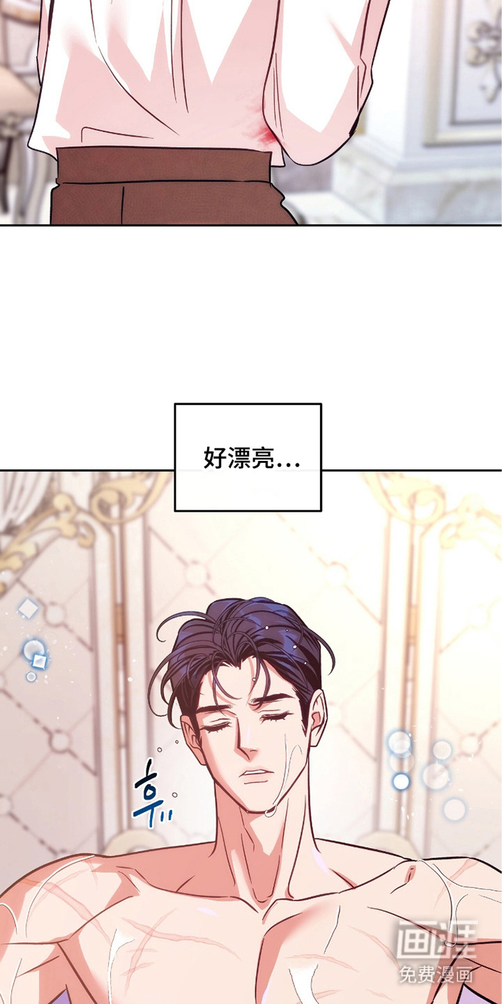 少爷的金鱼仆从漫画-图15