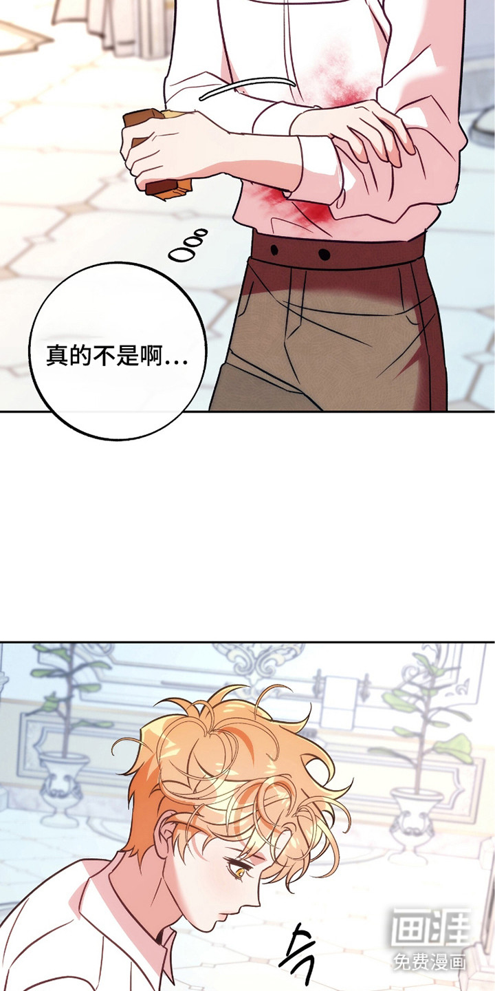 少爷的金鱼仆从漫画-图19