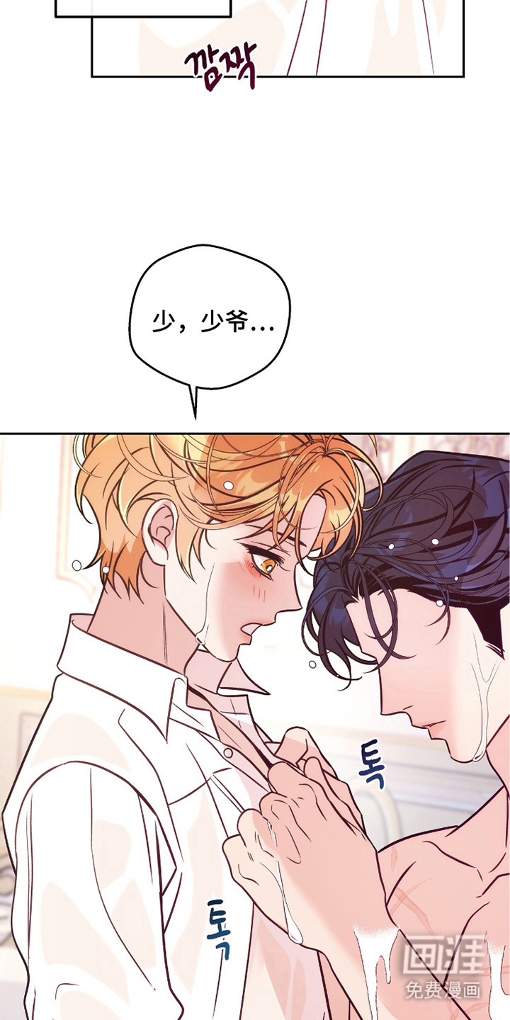 少爷的金鱼仆从漫画-图5