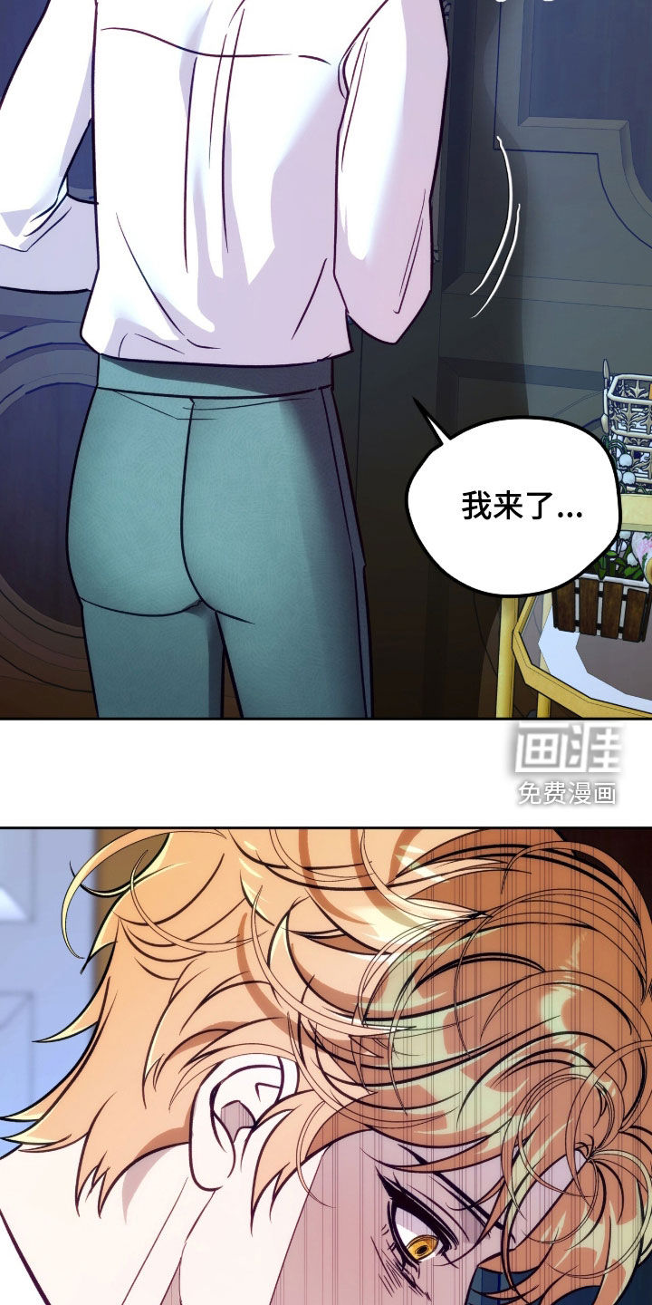 少爷的金鱼仆从漫画-图18