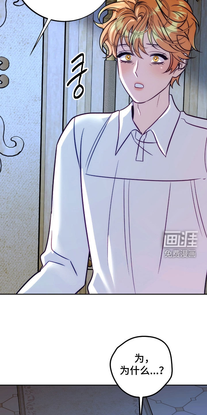 少爷的金鱼仆从漫画-图27