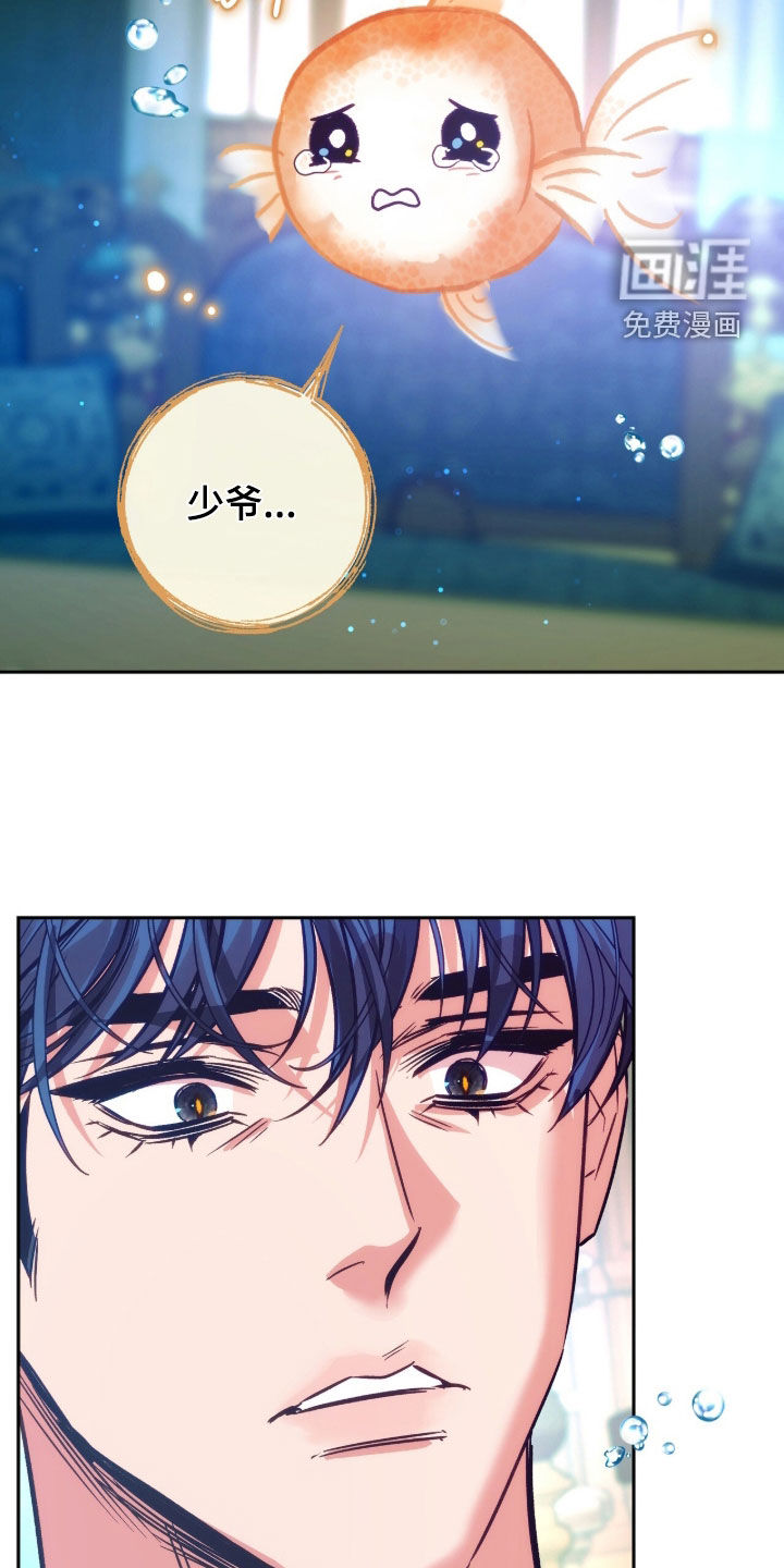 少爷的金鱼仆从漫画-图8