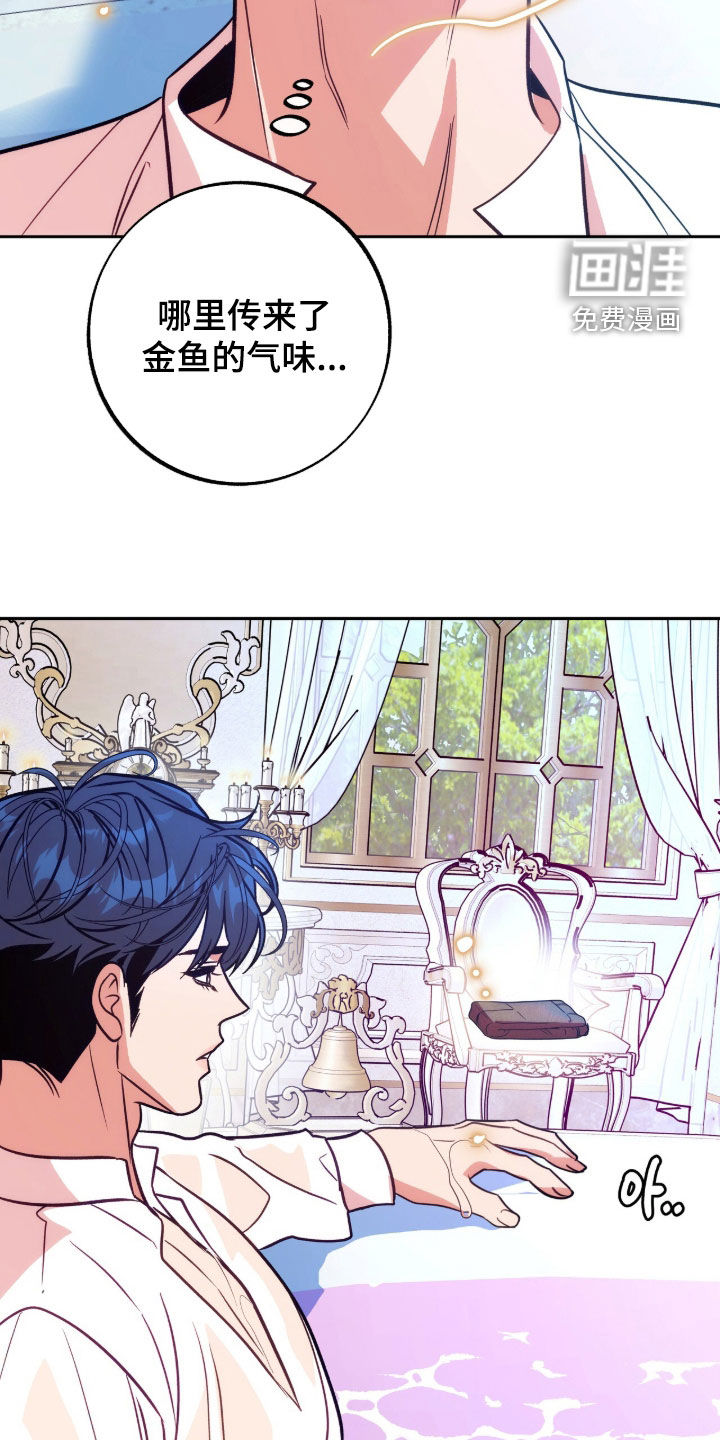 少爷的金鱼仆从漫画-图15