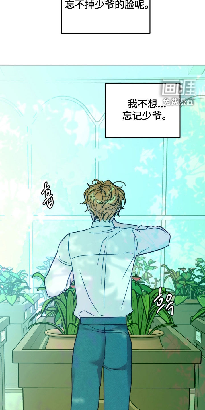 少爷的金鱼仆从漫画-图19