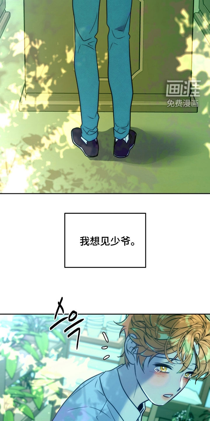少爷的金鱼仆从漫画-图20