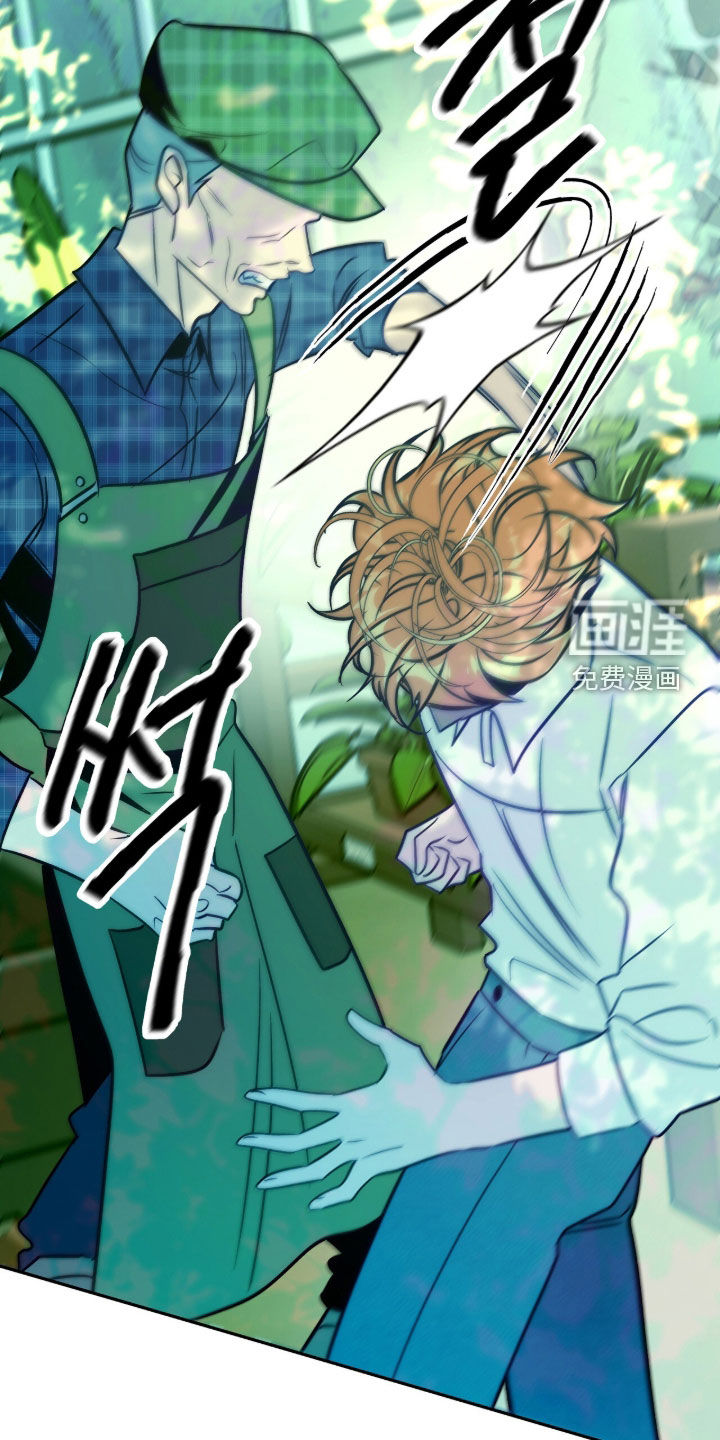 少爷的金鱼仆从漫画-图24